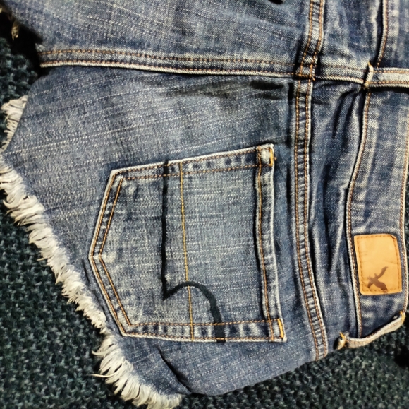 American Eagle Rose Embroidered  Shorts Size 00 - Picture 9 of 13